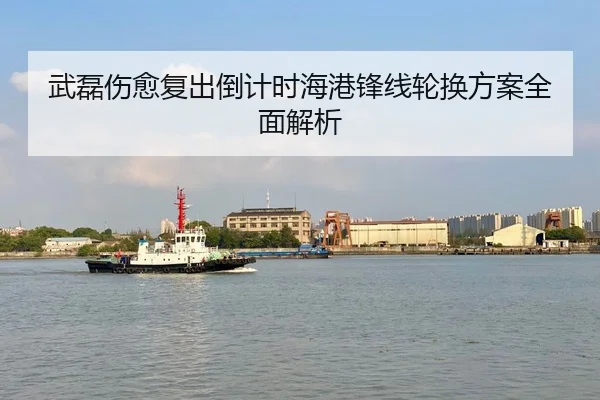 武磊伤愈复出倒计时海港锋线轮换方案全面解析